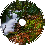 Primal Tale | Fairy Forest