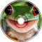 Froggo Song