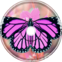 Butterfly (WIP)