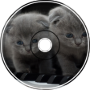 Keyboard Cat - Remix Kitty version