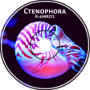 K-4998572 - Ctenophora