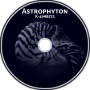 K-4998572 - Astrophyton