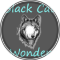 Black Cat - Wonder