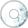 Beethoven&amp;#039;s Ghost