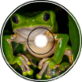 froggy lo fi