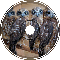 a parliament of owls