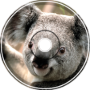 Extreme7687 - Koala (5min)